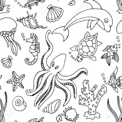 Aquatic Animal Drawing Images .
